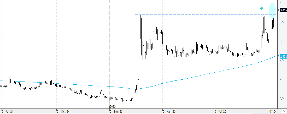 c101025oryzon c101025oryzon