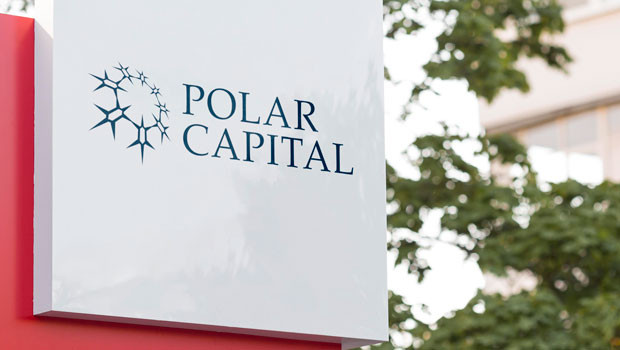 dl polar capital financial services wealth management