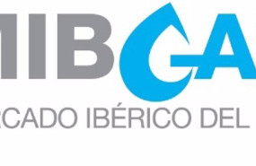 ep archivo   mercado iberico del gas
