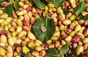 ep archivo pistachos ep archivo pistachos