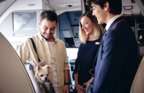 ep iberia digitaliza el viaje con mascotas