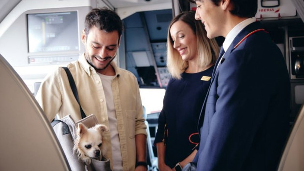 ep iberia digitaliza el viaje con mascotas
