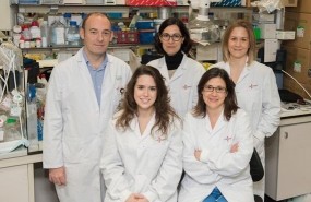 ep identifican-una-proteina-inhibidora-de-la-resistencia-a-la-radioterapia-en-gliob