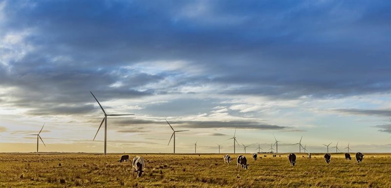 Cierre alcista en Asia tras la bajada de tipos del banco central de Australia