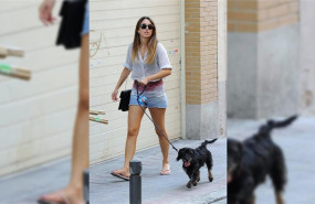 ep la actriz blanca suarez paseandosu perro pistacho
