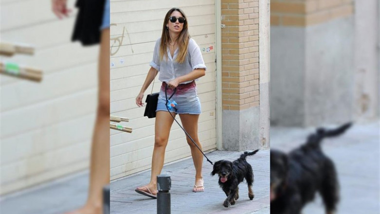 La actriz Blanca Suárez paseando a su perro Pistacho | EUROPA PRESS REPORTAJES ep la actriz blanca suarez paseandosu perro pistacho