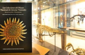 ep libro las colecciones del museo nacional de ciencias naturales