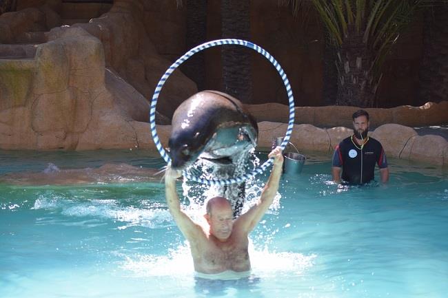 ep terapialeones marinos domusvi babel