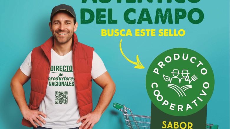 foto3 20251114165347 