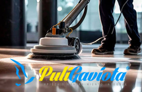 puligaviota 20240531155930