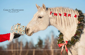 1576494788 el valenciano con logo