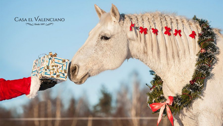 1576494788 el valenciano con logo