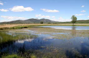 1612429093 sierra norte de guadalajara1