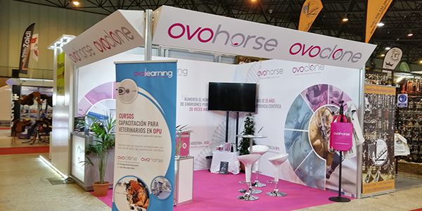 1637140079 sicab ovohorse