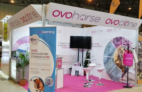 1637140079 sicab ovohorse