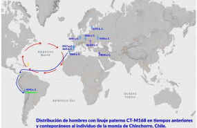 1648760837 momiachinchorro02
