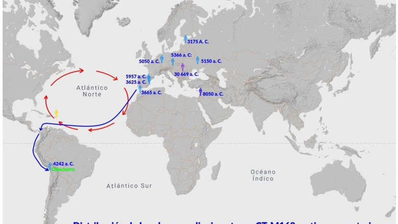 1648760837 momiachinchorro02