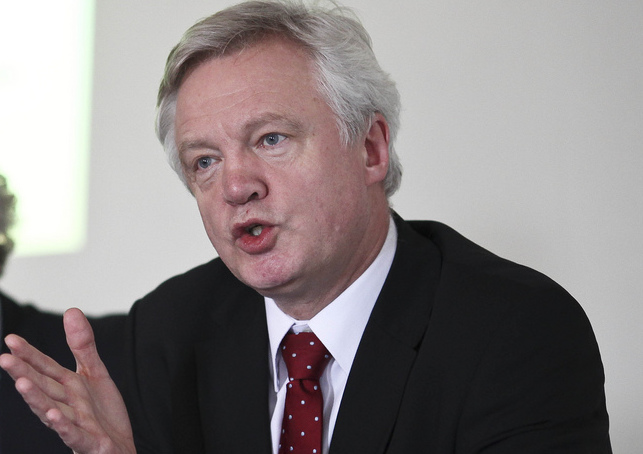 david davis