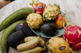 ep ecuador introduce frutas exoticas en el mercado espanol con la ayuda de la union europea a traves