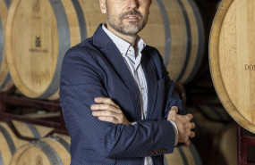 ep el director general de bodegas dominio de tares rafael somonte en la bodega