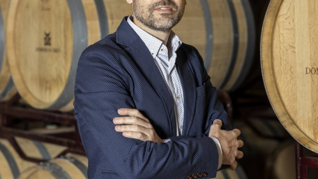 ep el director general de bodegas dominio de tares rafael somonte en la bodega