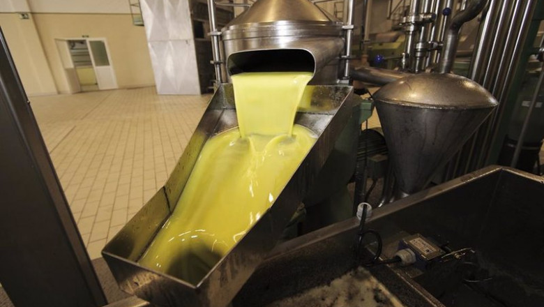 Imagen de archivo del proceso de obtención del aceite en una almazara. | JUAN FLORES/JUNTA DE ANDALUCÍA - Archivo ep imagen de archivo del proceso de obtencion del aceite en una almazara