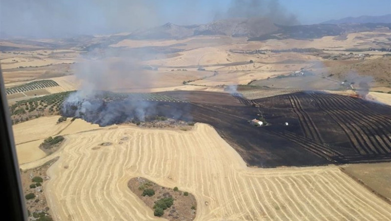 Imagen del incendio agrícola declarado en Cañete La Real (Málaga) | INFOCA ep imagenincendio agricola declaradocanetereal malaga