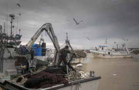 ep llegada de un barco pesquero a la lonja
