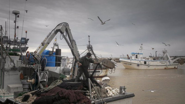 ep llegada de un barco pesquero a la lonja