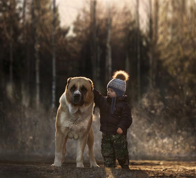 Perro, niño, amistad, amigos | FUNDACIÓN AFFINITY ep perro nino amistad amigos