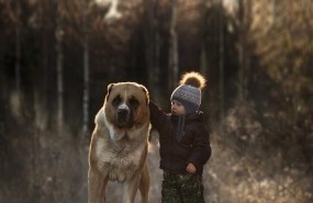 ep perro nino amistad amigos