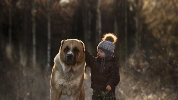 ep perro nino amistad amigos