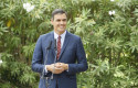 ep presidentegobiernofunciones pedro sanchez ofrece declaracionespalaciomariventpalmamallorcasu reunionrey felipe vi ep presidentegobiernofunciones pedro sanchez ofrece declaracionespalaciomariventpalmamallorcasu reunionrey felipe vi