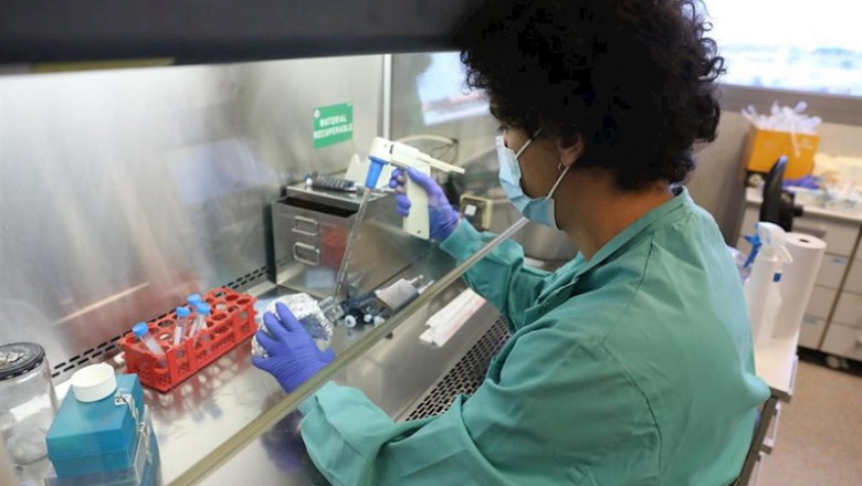 ep un biologo trabaja en un laboratorio del centro de biologia molecular severo ochoa en el campus ep un biologo trabaja en un laboratorio del centro de biologia molecular severo ochoa en el campus