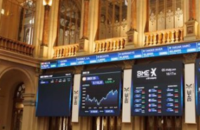 ibex portada paneles
