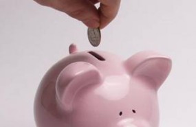 piggy bank piggy bank