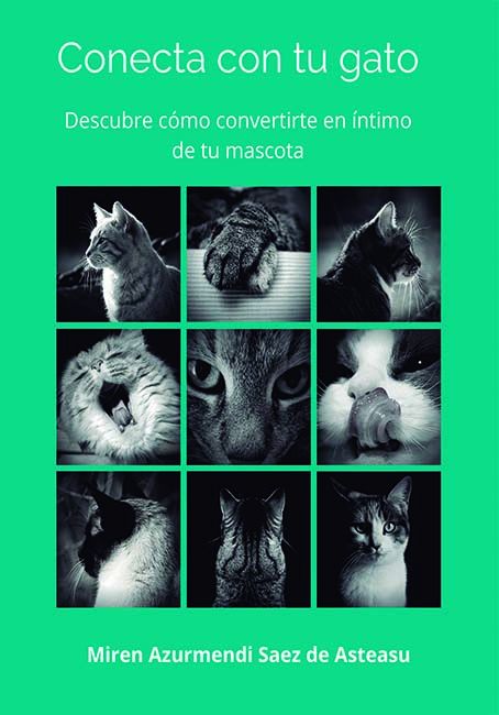 portada conecta con tu gato