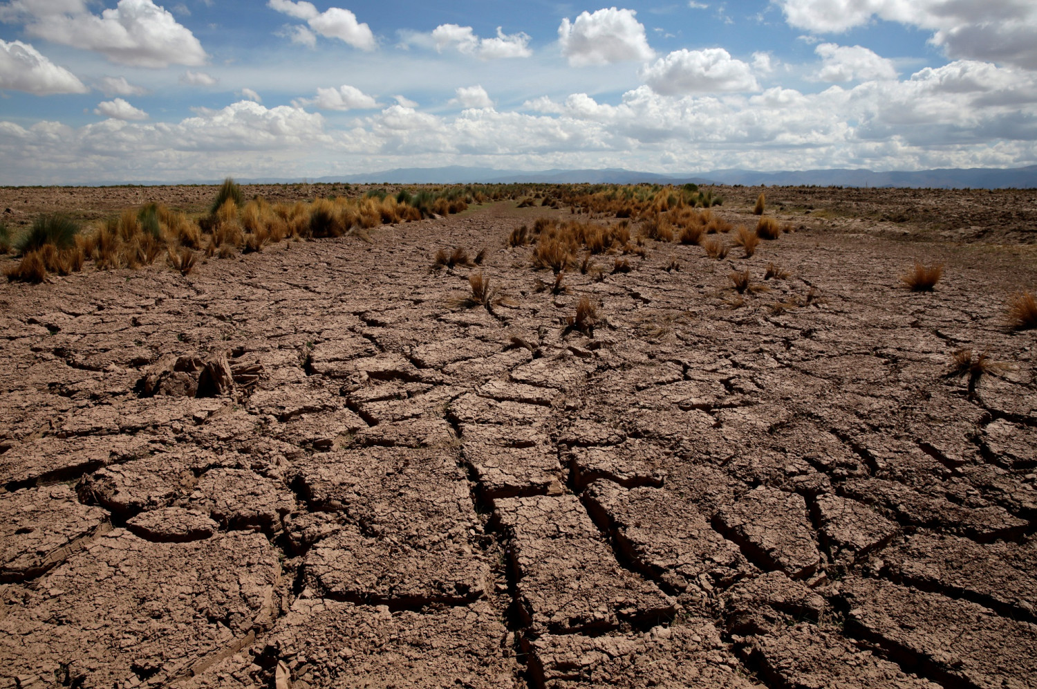 climat secheresse rechauffement climatique bolivie 20230706113515 