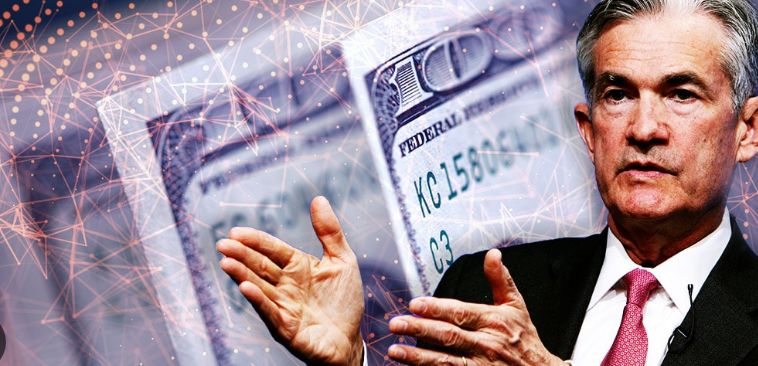 dolarcbfed11