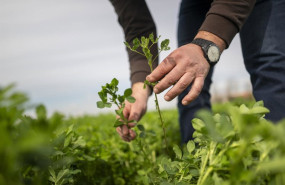 ep agricultor en el campo 20260406141109 ep agricultor en el campo 20260406141109