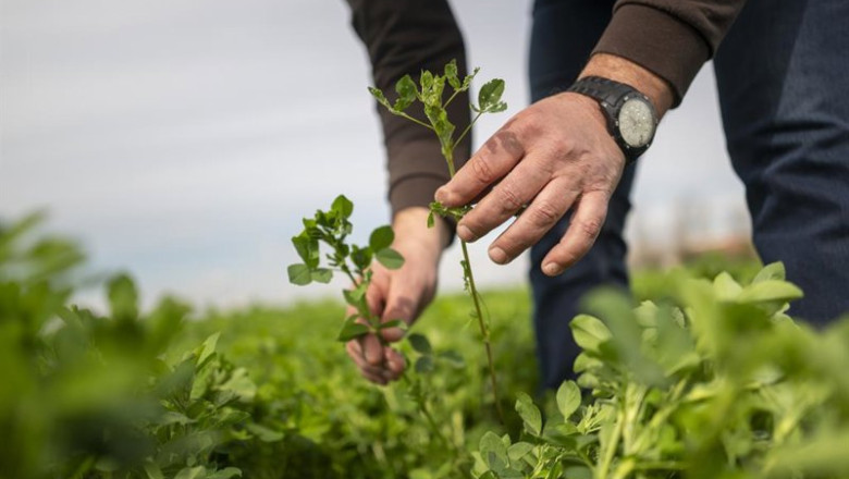 ep agricultor en el campo 20260406141109 ep agricultor en el campo 20260406141109