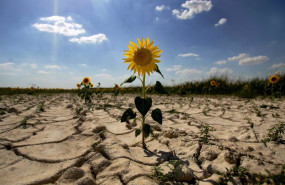 ep archivo   desertizacion sequia ola de calor cambio climatico