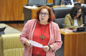 ep archivo la consejera de agricultura begona garcia bernal comparece en el pleno de la asamblea ep archivo la consejera de agricultura begona garcia bernal comparece en el pleno de la asamblea