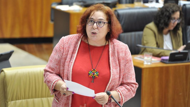 ep archivo la consejera de agricultura begona garcia bernal comparece en el pleno de la asamblea ep archivo la consejera de agricultura begona garcia bernal comparece en el pleno de la asamblea