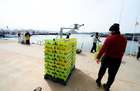 ep archivo   la pesca subastada en lonjas de cantabria baja un  37 en 2025 pero aumenta su valor