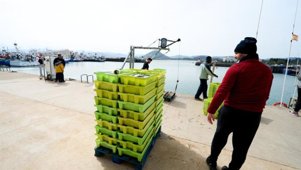 ep archivo   la pesca subastada en lonjas de cantabria baja un  37 en 2025 pero aumenta su valor