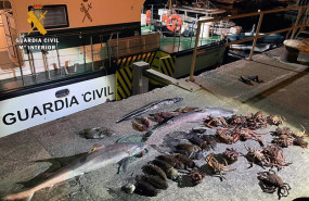 ep archivo   rdo nota de prensa guardia civil intervenida 600 metros de red para pesca furtiva