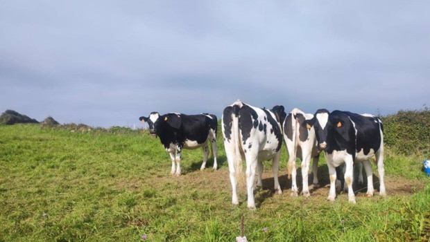 ep archivo vacas de leche ep archivo vacas de leche