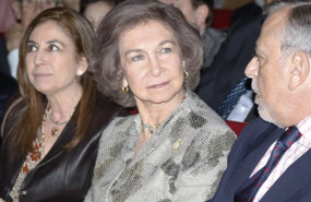 ep el pasado viernes la reina sofia presidio el homenaje que se rindio a los voluntarios del