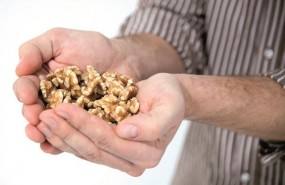 ep nueces punadonueces